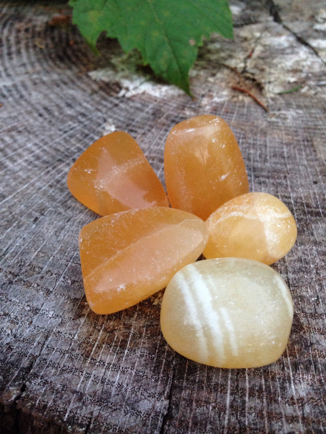 Polished medium orange calcite stones on tree stump symbolizing creativity and confidence