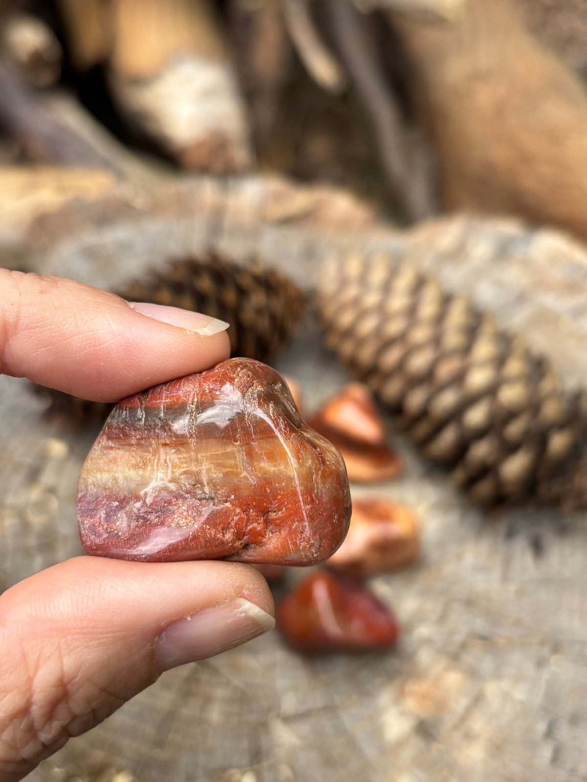 Petrified Stone, large tumbled stones
