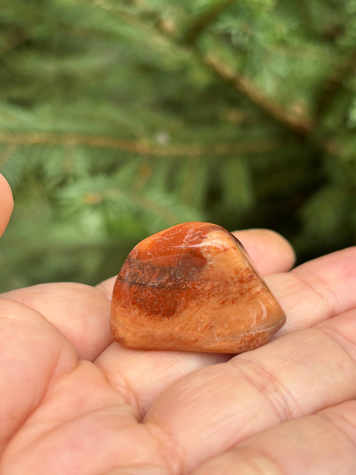 Petrified Stone, large tumbled stones